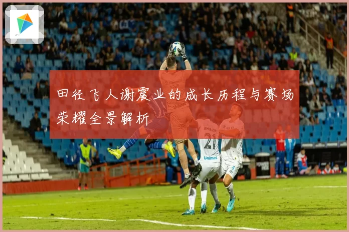 田径飞人谢震业的成长历程与赛场荣耀全景解析
